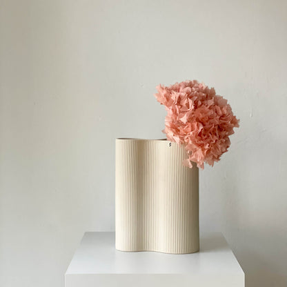 Hortensie: Zeitlose Schönheit, konservierte Hortensien als perfekte Dekoration