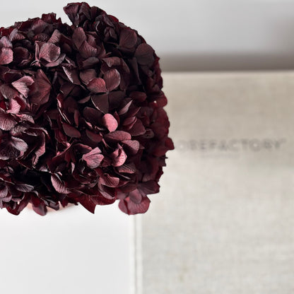 Hortensie: Zeitlose Schönheit, konservierte Hortensien als perfekte Dekoration