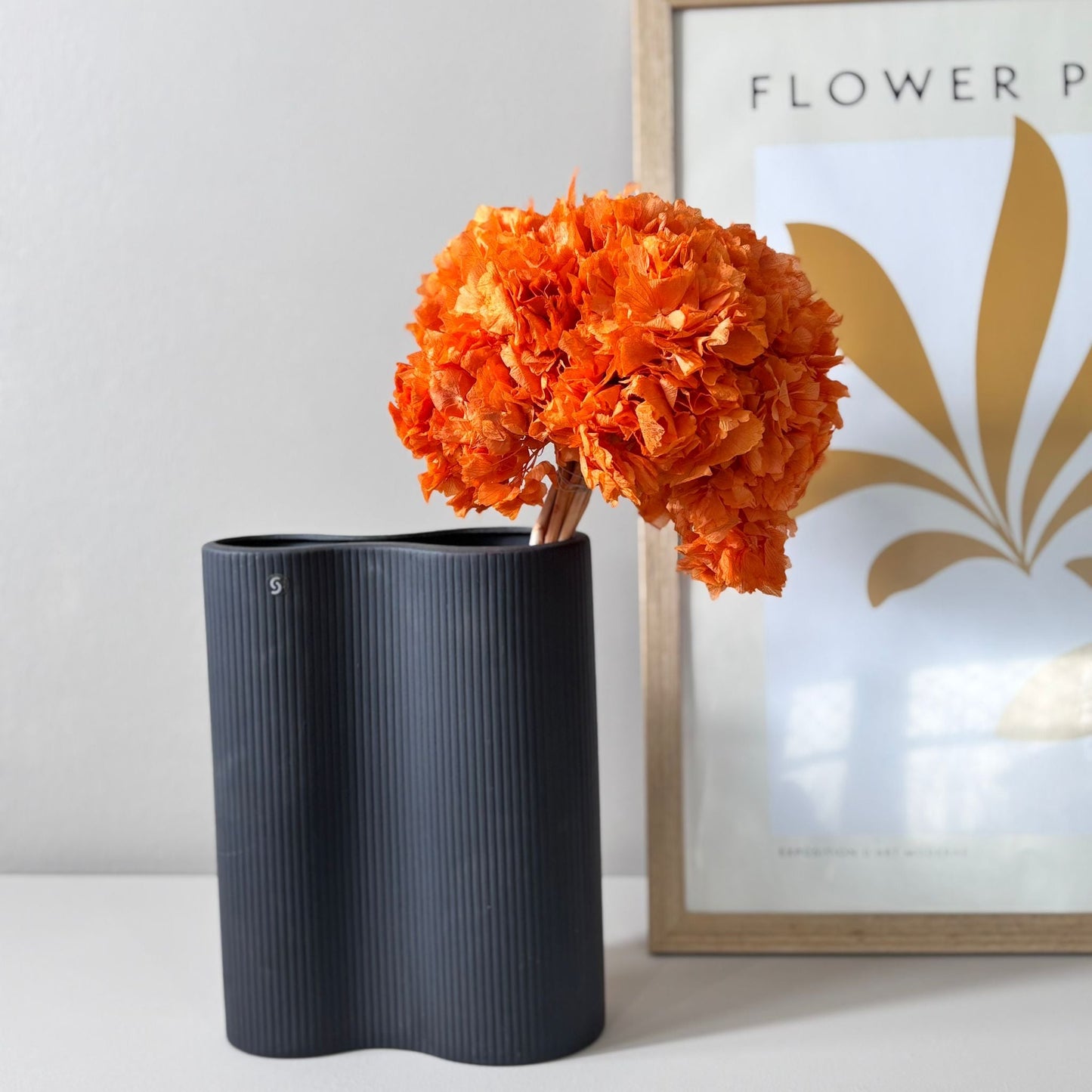 Hortensie: Zeitlose Schönheit, konservierte Hortensien als perfekte Dekoration