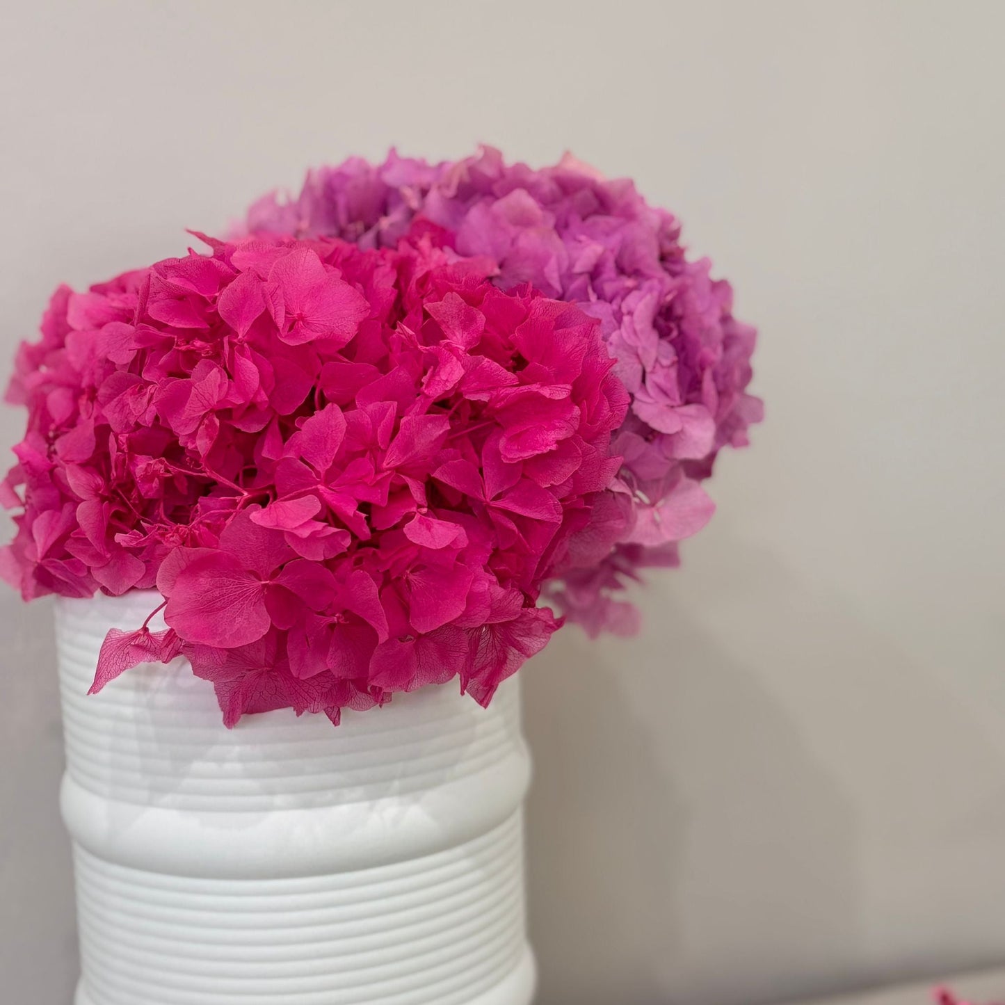 Hortensie: Zeitlose Schönheit, konservierte Hortensien als perfekte Dekoration