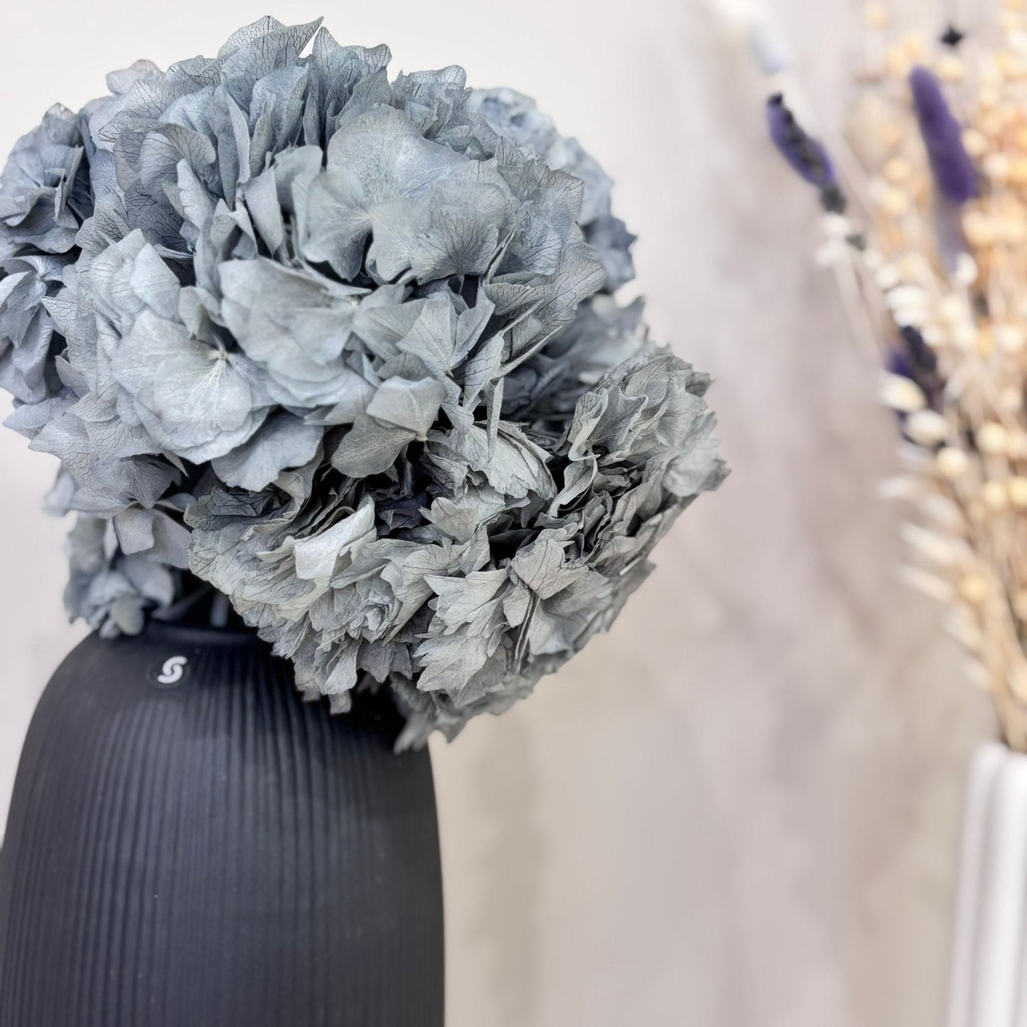 Hortensie: Zeitlose Schönheit, konservierte Hortensien als perfekte Dekoration