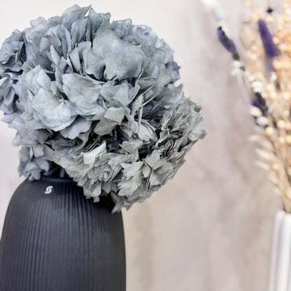 Hortensie: Zeitlose Schönheit, konservierte Hortensien als perfekte Dekoration