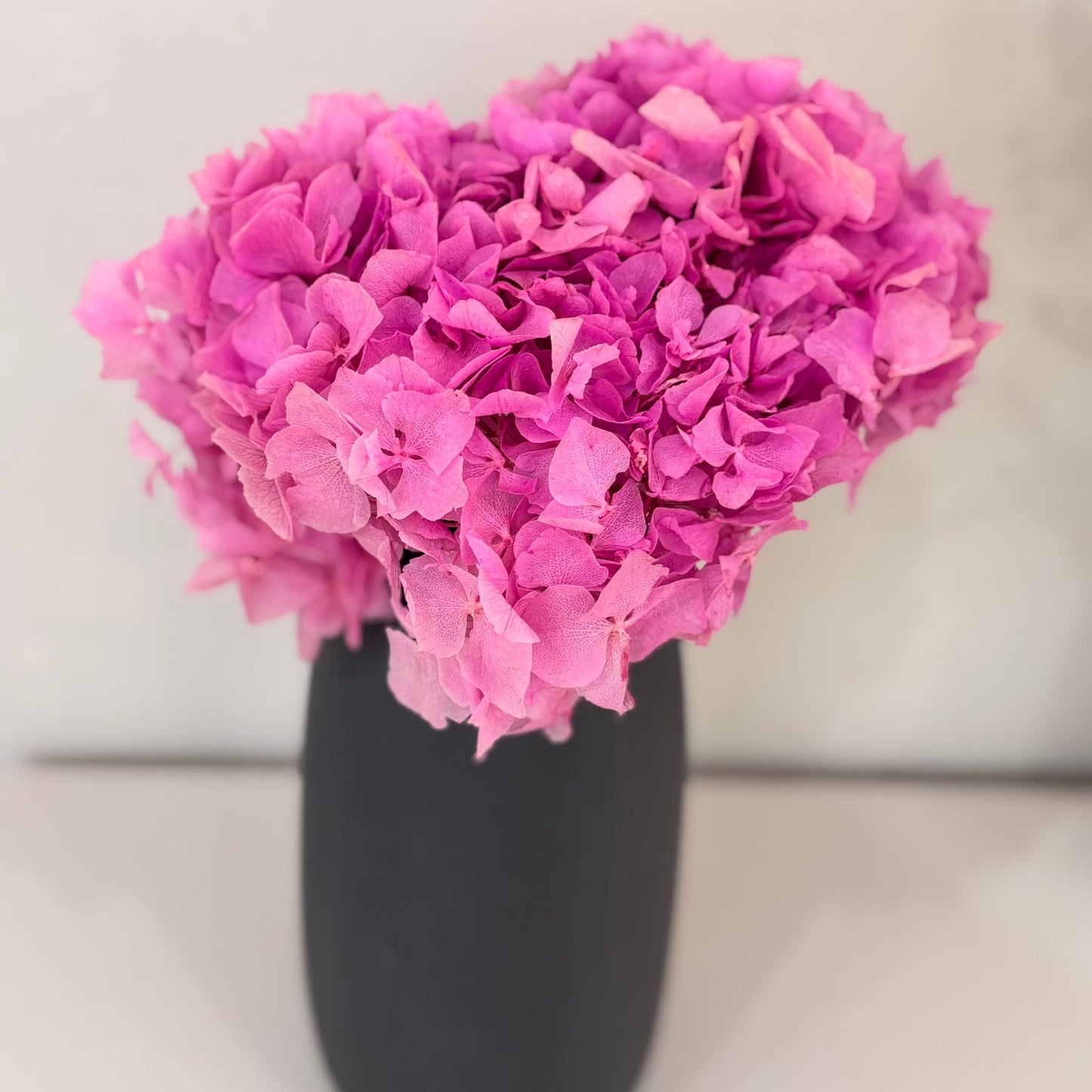 Hortensie: Zeitlose Schönheit, konservierte Hortensien als perfekte Dekoration