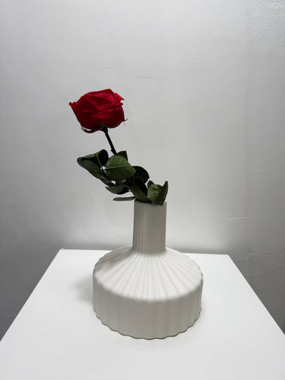 Konservierte/gefriergetrocknete, englische Rosen: Zeitlose Eleganz für die Ewigkeit