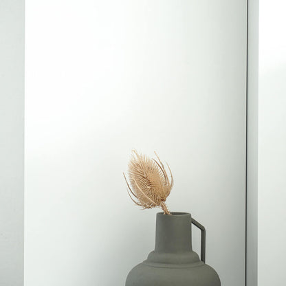 Getrocknete Distel - Cardi