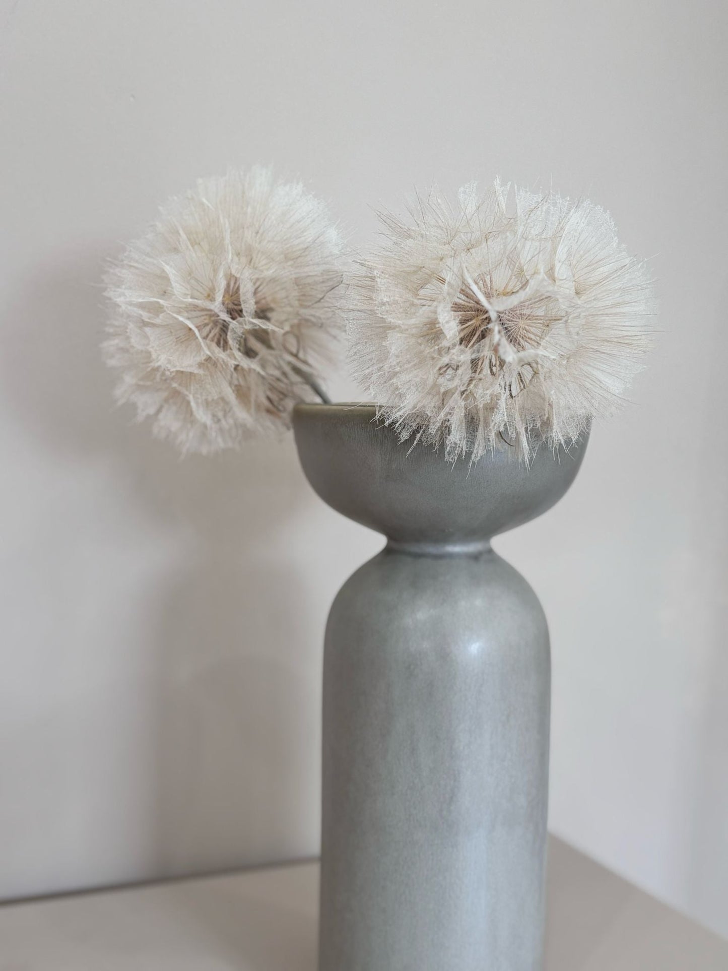 Pusteblume getrocknet einzeln