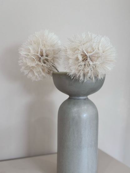 Pusteblume getrocknet einzeln