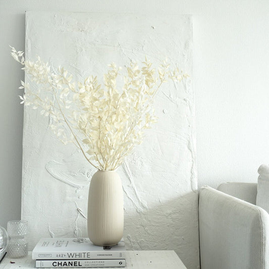 Ruskus / Mäusedorne konserviert