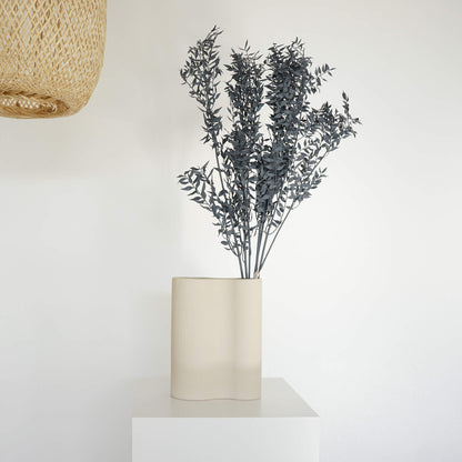 Ruskus / Mäusedorne konserviert