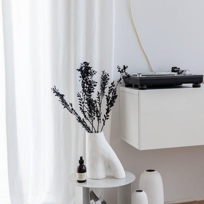 Ruskus / Mäusedorne konserviert