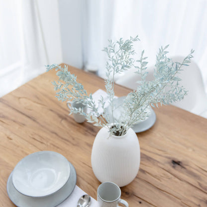 Ruskus / Mäusedorne konserviert